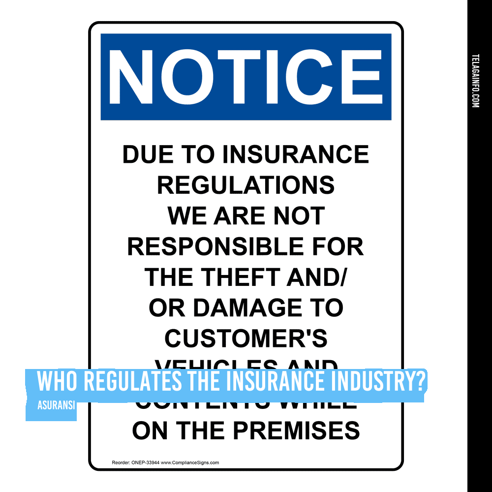 Who Regulates the Insurance Industry?