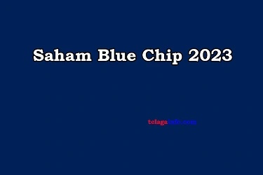 Saham Blue Chip 2023
