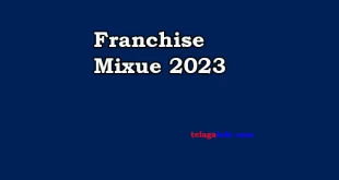 Franchise Mixue 2023