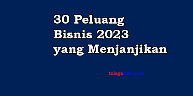30 Peluang Bisnis 2023 yang Menjanjikan